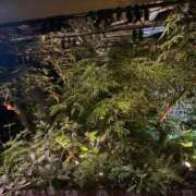 ヒメ日記 2025/09/21 14:07 投稿 まりな ハッピーブリッジ