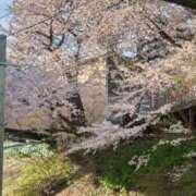 ヒメ日記 2025/05/07 15:34 投稿 りぼん 札幌ススキノちゃんこ