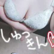 ヒメ日記 2025/05/11 11:44 投稿 りぼん 札幌ススキノちゃんこ