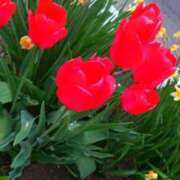 ヒメ日記 2025/05/14 19:04 投稿 りぼん 札幌ススキノちゃんこ