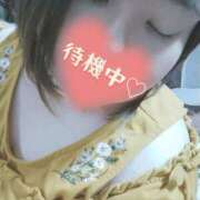 ヒメ日記 2025/05/21 22:24 投稿 りぼん 札幌ススキノちゃんこ