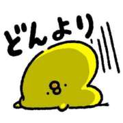 ヒメ日記 2025/06/06 10:54 投稿 りぼん 札幌ススキノちゃんこ