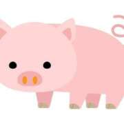 ヒメ日記 2025/06/27 04:24 投稿 りぼん 札幌ススキノちゃんこ