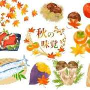 ヒメ日記 2025/10/17 00:24 投稿 りぼん 札幌ススキノちゃんこ