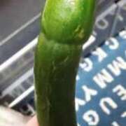 ヒメ日記 2025/10/18 22:04 投稿 りぼん 札幌ススキノちゃんこ