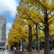 ヒメ日記 2025/11/02 21:34 投稿 りぼん 札幌ススキノちゃんこ