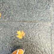 ヒメ日記 2025/11/04 00:04 投稿 りぼん 札幌ススキノちゃんこ