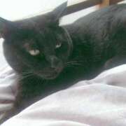 ヒメ日記 2025/11/17 01:54 投稿 りぼん 札幌ススキノちゃんこ