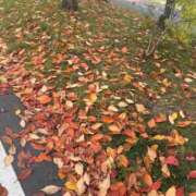 りり 【お礼写メ日記】🕊💌 札幌ススキノちゃんこ