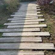 りり かな🫑 札幌ススキノちゃんこ