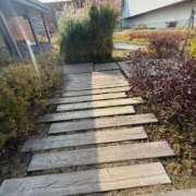 ヒメ日記 2026/02/21 00:36 投稿 りり 札幌ススキノちゃんこ