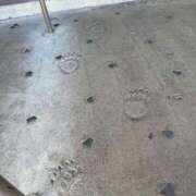 ヒメ日記 2026/03/10 15:04 投稿 りり 札幌ススキノちゃんこ