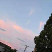 ヒメ日記 2026/06/24 18:24 投稿 りり 札幌ススキノちゃんこ