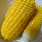 ヒメ日記 2025/07/30 18:44 投稿 ている 札幌ススキノちゃんこ