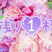 ヒメ日記 2025/04/24 16:36 投稿 あかね やMAT撫子