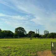 ヒメ日記 2025/05/16 09:27 投稿 らいか ハピネス東京