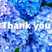 ヒメ日記 2025/10/11 14:07 投稿 らいか ハピネス東京