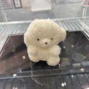 ヒメ日記 2025/12/29 00:38 投稿 あむ★恋人感◎甘えん坊清楚JD 渋谷S級素人清楚系デリヘル chloe