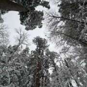 ヒメ日記 2026/01/06 00:33 投稿 あむ★恋人感◎甘えん坊清楚JD 渋谷S級素人清楚系デリヘル chloe