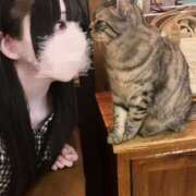 ヒメ日記 2025/04/29 16:21 投稿 あむ★恋人感◎甘えん坊清楚JD S級素人清楚系デリヘル chloe