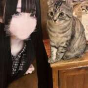 ヒメ日記 2025/05/16 19:35 投稿 あむ★恋人感◎甘えん坊清楚JD S級素人清楚系デリヘル chloe