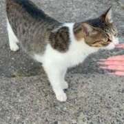 ヒメ日記 2025/09/15 13:24 投稿 あむ★恋人感◎甘えん坊清楚JD Chloe五反田本店　S級素人清楚系デリヘル