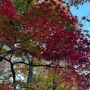 ヒメ日記 2025/12/13 15:38 投稿 あやか Felice(フェリス)