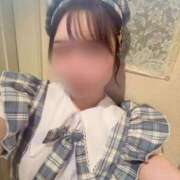 ヒメ日記 2025/11/12 10:06 投稿 猫　まお シャトールーブル