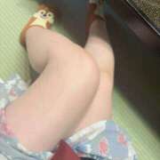 ヒメ日記 2025/11/17 11:48 投稿 猫　まお シャトールーブル