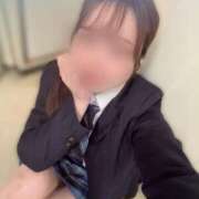 ヒメ日記 2025/11/19 08:57 投稿 猫　まお シャトールーブル