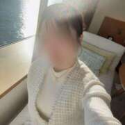 ヒメ日記 2025/12/25 10:12 投稿 猫　まお シャトールーブル