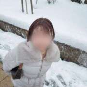 ヒメ日記 2026/02/09 20:27 投稿 猫　まお シャトールーブル