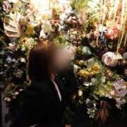 ヒメ日記 2026/08/20 10:08 投稿 猫　まお シャトールーブル