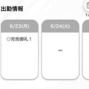 ヒメ日記 2025/06/24 04:20 投稿 みこと【極上のおっぱい美少女】 STELLA TOKYO－ステラトウキョウ－