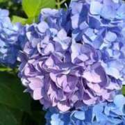 ヒメ日記 2025/06/26 15:27 投稿 みこと【極上のおっぱい美少女】 STELLA TOKYO－ステラトウキョウ－