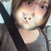 ヒメ日記 2025/07/14 04:12 投稿 みこと【極上のおっぱい美少女】 STELLA TOKYO－ステラトウキョウ－