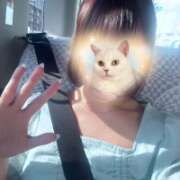 ヒメ日記 2025/07/24 19:36 投稿 みこと【極上のおっぱい美少女】 STELLA TOKYO－ステラトウキョウ－