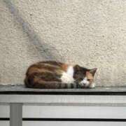 ヒメ日記 2025/08/14 18:03 投稿 みこと【極上のおっぱい美少女】 STELLA TOKYO－ステラトウキョウ－