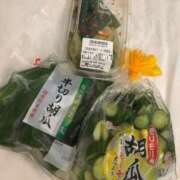 ヒメ日記 2025/09/25 00:13 投稿 みこと【極上のおっぱい美少女】 STELLA TOKYO－ステラトウキョウ－