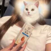 ヒメ日記 2025/09/29 15:11 投稿 みこと【極上のおっぱい美少女】 STELLA TOKYO－ステラトウキョウ－