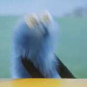 ヒメ日記 2025/10/06 15:03 投稿 みこと【極上のおっぱい美少女】 STELLA TOKYO－ステラトウキョウ－