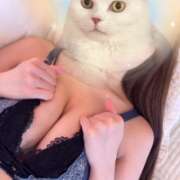 ヒメ日記 2025/11/17 16:04 投稿 みこと【極上のおっぱい美少女】 STELLA TOKYO－ステラトウキョウ－