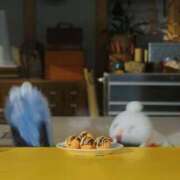 ヒメ日記 2026/01/08 07:50 投稿 みこと【極上のおっぱい美少女】 STELLA TOKYO－ステラトウキョウ－