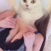 ヒメ日記 2026/02/09 11:09 投稿 みこと【極上のおっぱい美少女】 STELLA TOKYO－ステラトウキョウ－