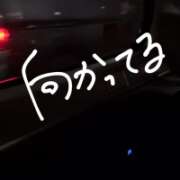 ヒメ日記 2026/06/24 19:57 投稿 みこと【極上のおっぱい美少女】 STELLA TOKYO-ステラトウキョウ-
