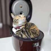 ヒメ日記 2025/05/13 15:06 投稿 八神 熟女の風俗最終章　鶯谷店