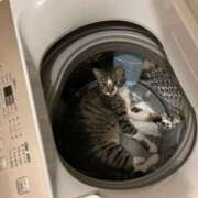 ヒメ日記 2025/09/20 18:58 投稿 八神 熟女の風俗最終章　鶯谷店