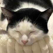 八神 嬉しい 熟女の風俗最終章　鶯谷店