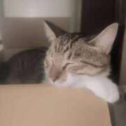 八神 お礼 熟女の風俗最終章　鶯谷店