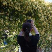 ヒメ日記 2025/05/07 12:36 投稿 桜木ミコ ビギナーズエステ ROOMiE＋（ルーミープラス）